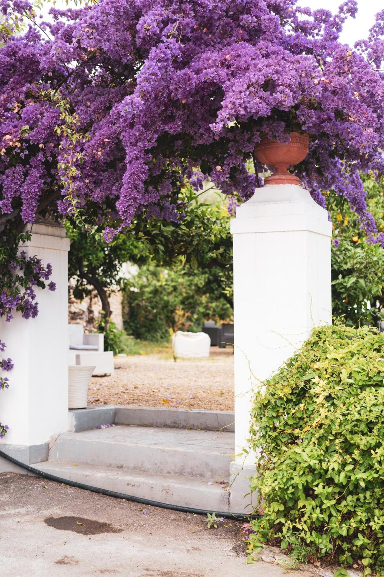 Agriturismo Giorgio Mattinata Eksteriør bilde