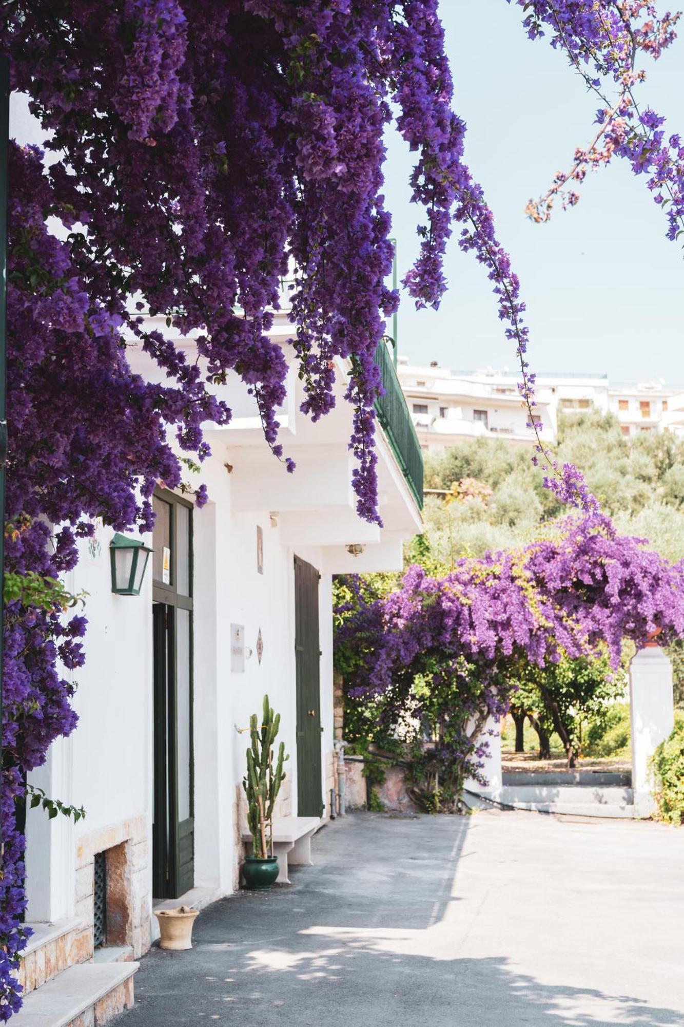 Agriturismo Giorgio Mattinata Eksteriør bilde